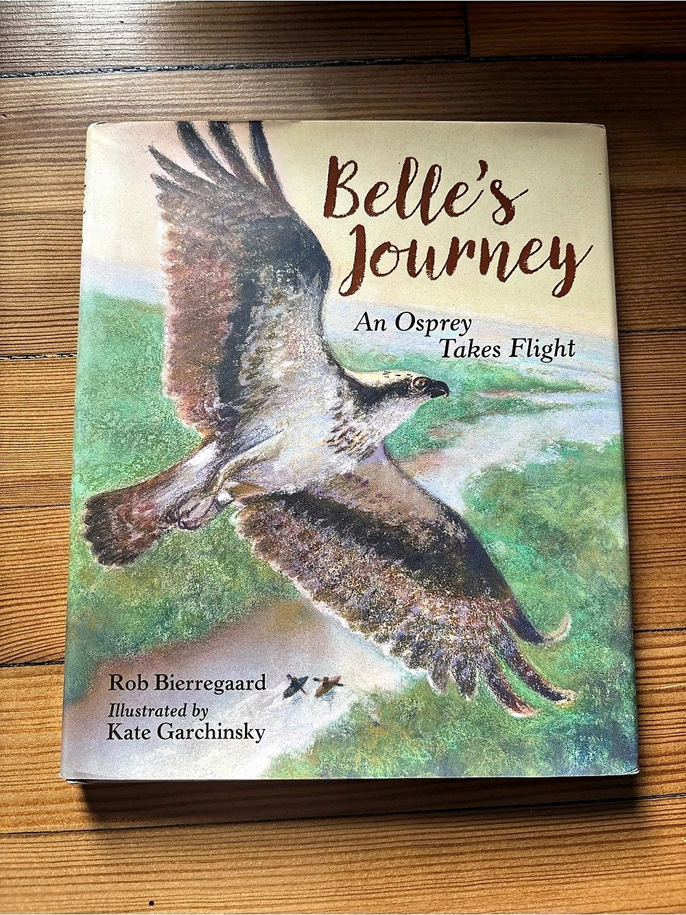 Belle's Journey An Osprey Takes Flight Hardcover Book by Rob Bierregaard